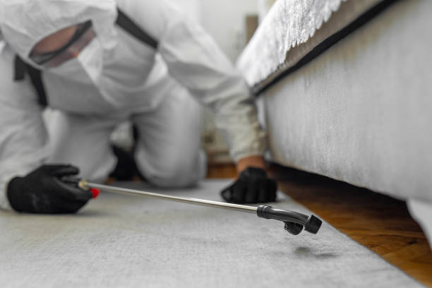 Professional Cockroach Control technician working in Stanfield, NC