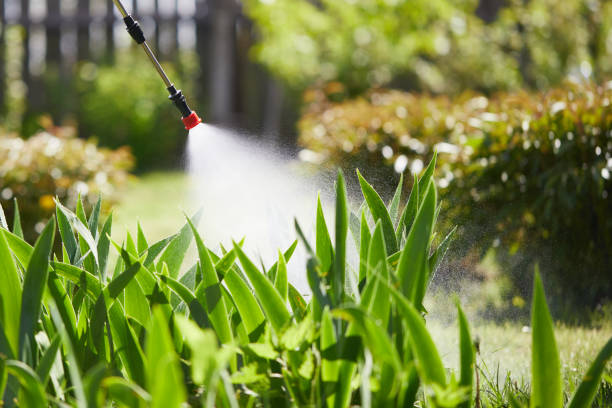 24/7 Emergency Cockroach Control experts in Stanfield, NC