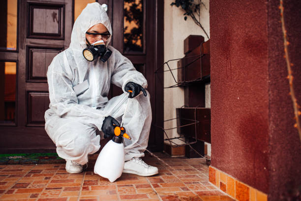 Reliable Cockroach Control contractor in Stanfield, NC by Nex Pest Control